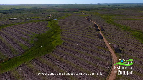 DOS EÓLICOS VIRA P FAZENDA_Moment.00_01_37_22.Quadro324_d562b182460cfe0f78b5c8b6320918f53462e5cb.jpg